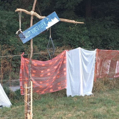 Lichtalben Festival - Sleepy Forest Stage Closing Set