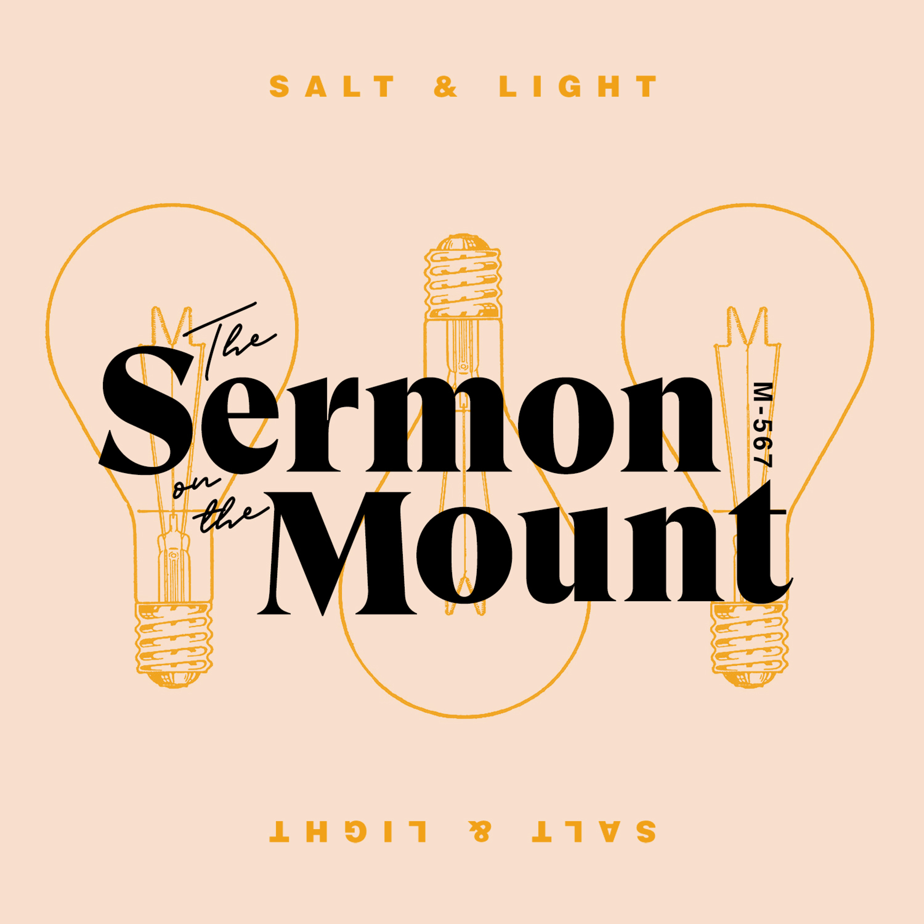 The Sermon On The Mount: Salt And Light