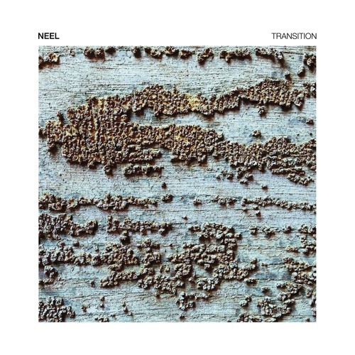 TOKEN86 - Neel - Transition
