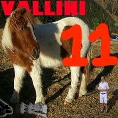 Cavallini 11