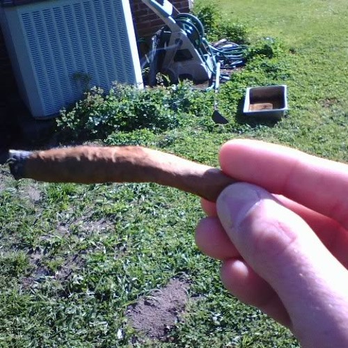 CantRollBlunts