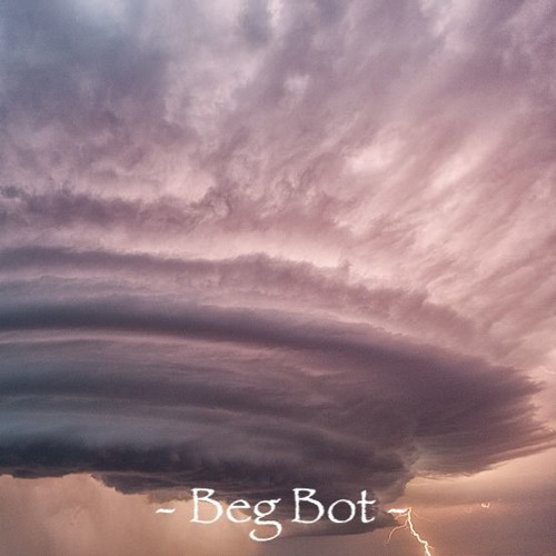 - Beg Bot -