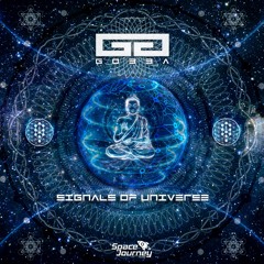 Signals (Original Mix) Preview