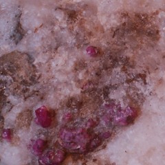 Ranoka's OSC favourites