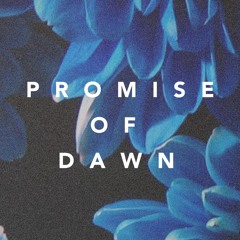 Promise Of Dawn