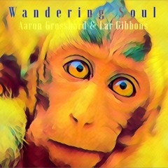 Wandering Soul | Aaron Grossbard & Lar Gibbons