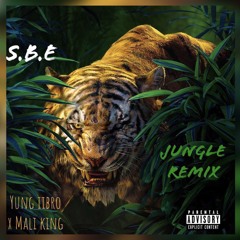Jungle (Remix) - Yung iibro x Mali King (official audio)