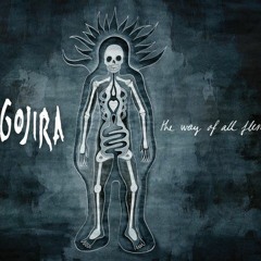 Toxic Garbage Island - Gojira (Cover - Instrumental)