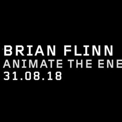 Brian Flinn - Animate The Enemy
