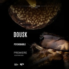 PREMIERE: Dousk - Psychobabble (Original Mix) [Beat Boutique]