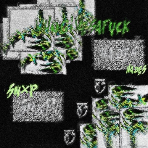 SNXP x 83HADES - WHO GIVES A FUCK (Prod. by GULLYSPiT)