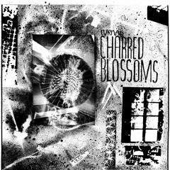 Cyrnai - Charred Blossoms LP PREVIEW CLIPS