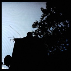 [CAF.] 8.21.18 - LC. II {MOD}