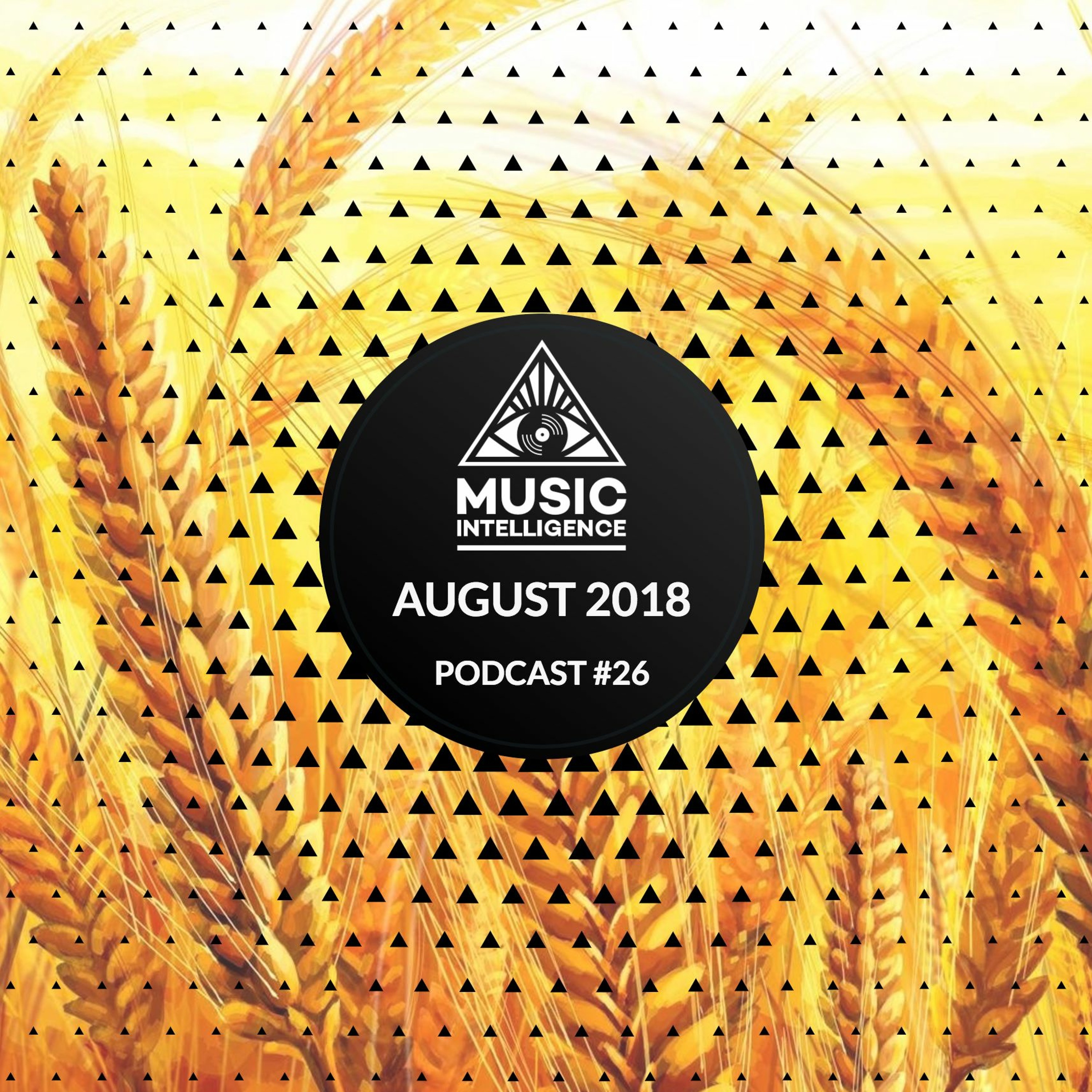Music Intelligence Podcast