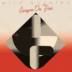 Wild Nothing // Canyon on Fire