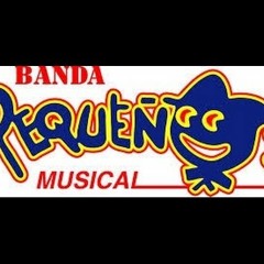 Banda Pequeños Musical Las Mas Grandes Mix