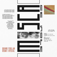 Raul Seixas - Mosca na Sopa (Bruno Furlan Remix Oficial)