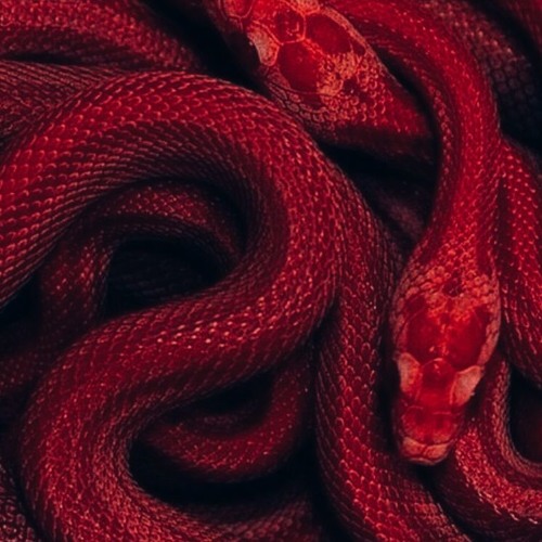 Stream Baby Antelope Listen To Bastardcore Playlist Online For Free On Soundcloud