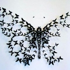 Black Butterfly