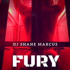 FURY