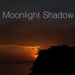 Moonlight Shadow (Hardstyle Remix)