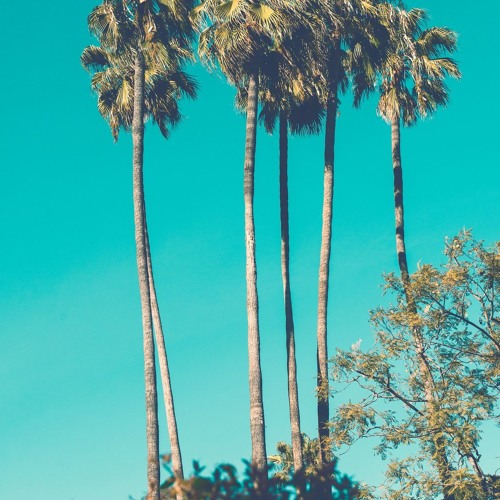 Dreams