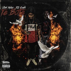 ZURI MULA FT. R2 CASH "TE BOTE"