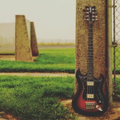 Hagstrom 8 string bass sound test