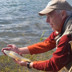 New Wildlife Area Between Montrose & Blue Mesa Reservoir