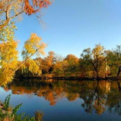 Boerne Research Inc.