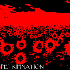 Polterswap - PETRIFINATION [Cover]