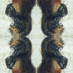 A Bird That Don’t Belong