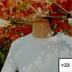 Un Certain Regard #53