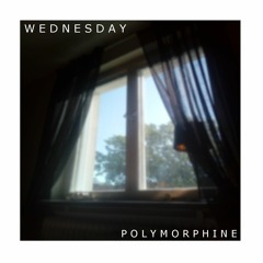 Tim - Wednesday (Prod. ruiiijikun)