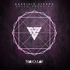 Gabriele Strada - Exotic Birds (Original Mix)