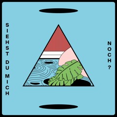 Klaus Johann Grobe "Siehst Du Mich Noch?" (Trouble In Mind Records)