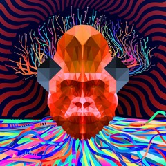 LSD Is The Bomb