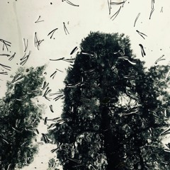 Fragments II (Collected Refrains From Lost Thoughts) — Edelweiss