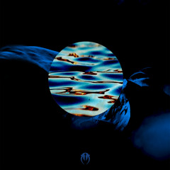 Premiere: Assalm - Flying Carpet