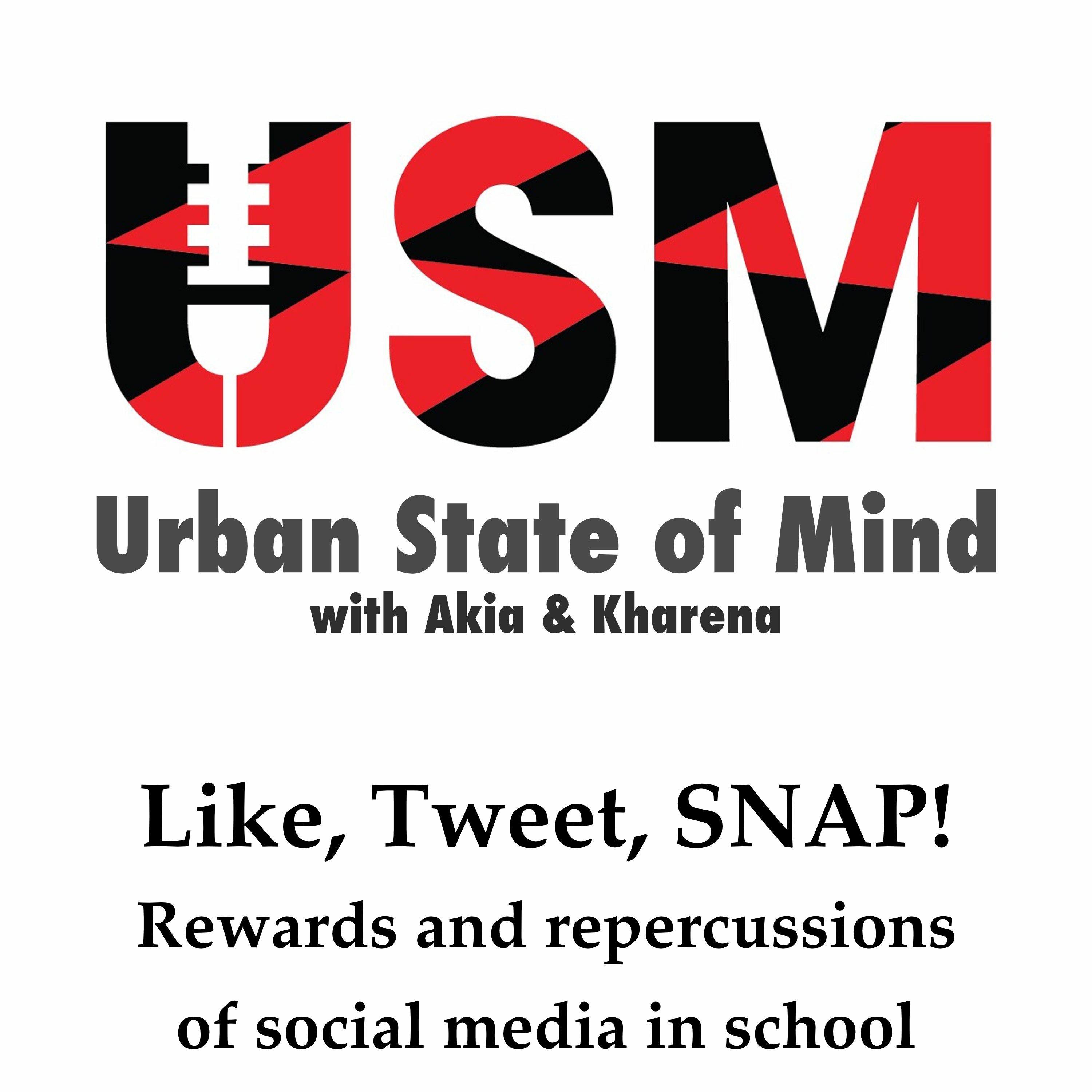 Like, Tweet, SNAP! Rewards and repercussions of social media in school