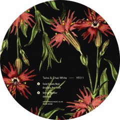 YF011 - Taiko & Chaz White - String Walker