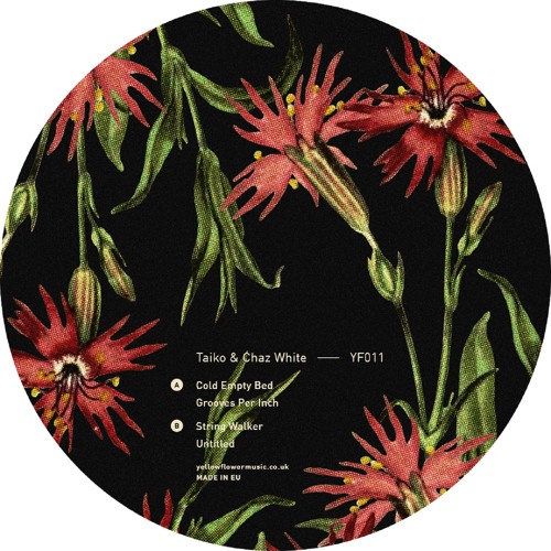 YF011 - Taiko & Chaz White - String Walker
