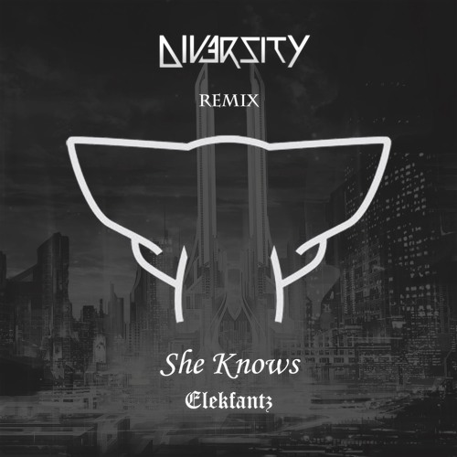 She Knows - Elekfantz (Diversity Remix)