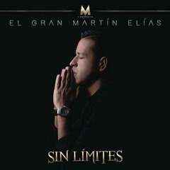 Al Fin Llegaste Tu - martín elias