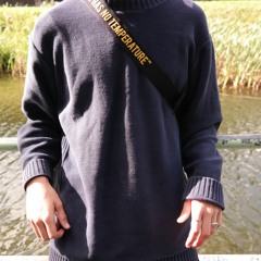 anfang2017.final x melman x fortysix