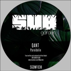 Qant - Pareidolie (SGDNF038) [clip] - OUT NOW on BANDCAMP! (free download)