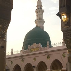 في حب سيدنا المصطفى ﷺ