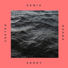 Aruzo Remix / Halsey - Sorry