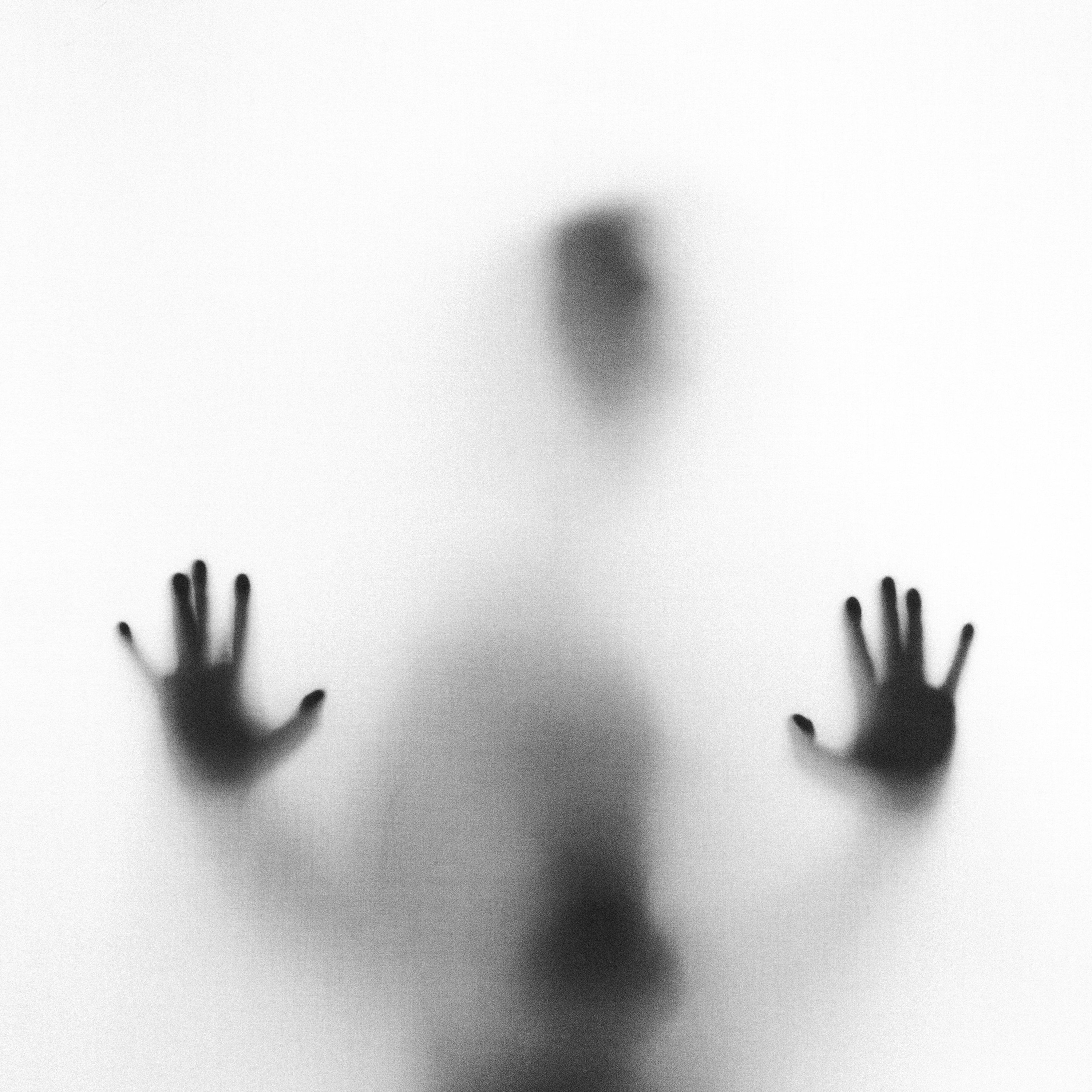 Matt Stewart-Evans