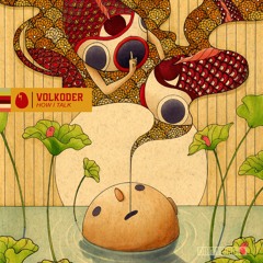 Volkoder feat. Mc Hollywood - How [DIRTYBIRD]